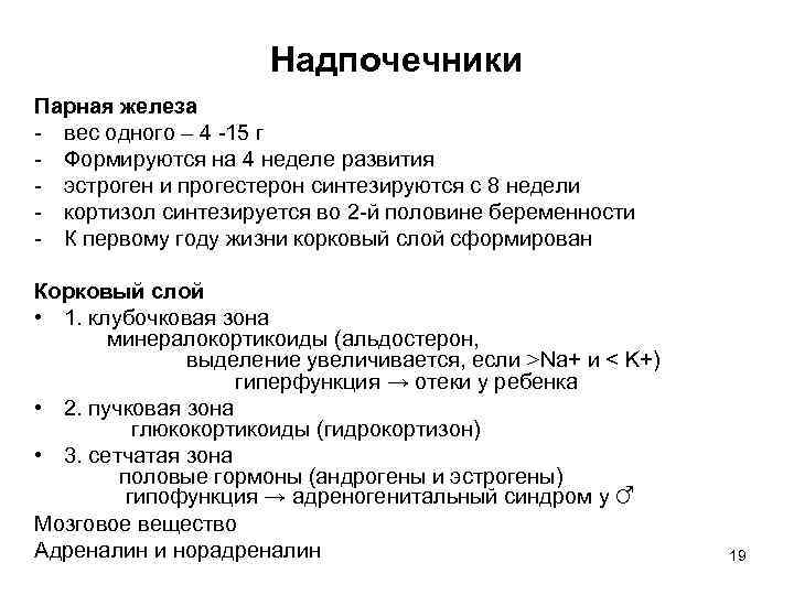 Надпочечники Парная железа - вес одного – 4 -15 г - Формируются на 4