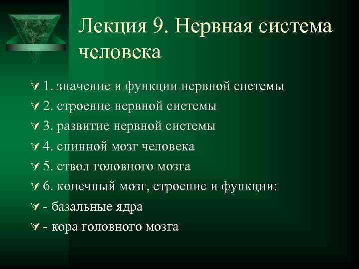 Лекция 9. Нервная система человека Ú 1. значение и функции нервной системы Ú 2.