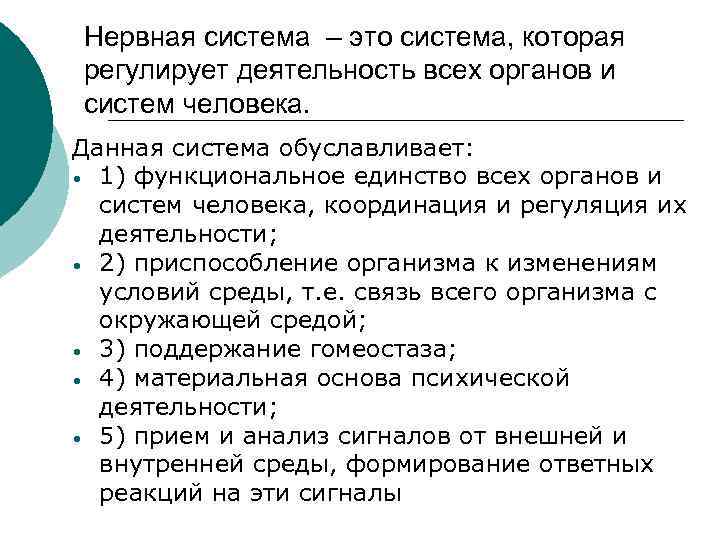 Нервная система – это система, которая регулирует деятельность всех органов и систем человека. Данная