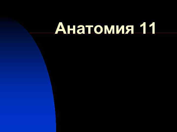 Анатомия 11 