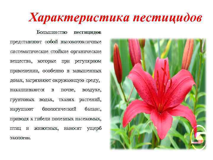 Характеристика пестицидов Большинство пестицидов представляют собой высокотоксичные систематические стойкие органические вещества, которые при регулярном