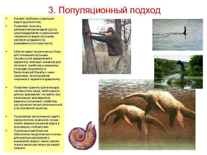 3. Популяционный подход • • Изучает проблемы отдельных видов (аутэкология). Позволяет получать математические модели