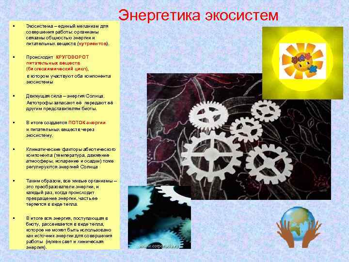  • Экосистема – единый механизм для совершения работы: организмы связаны общностью энергии и