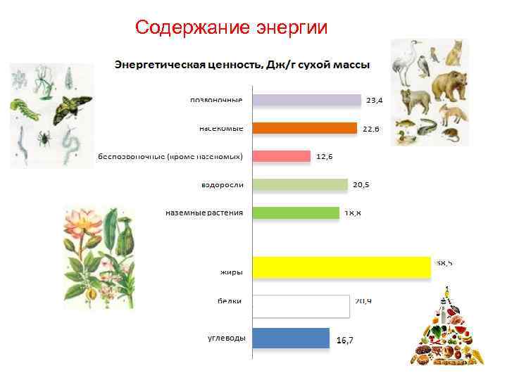 Содержание энергии 