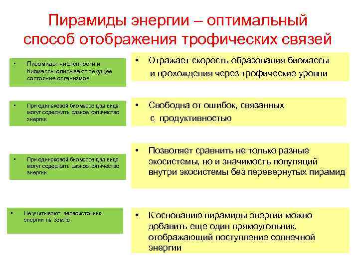 Пирамиды энергии – оптимальный способ отображения трофических связей Пирамиды численности и биомассы описывают текущее
