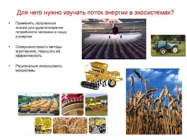 Для чего нужно изучать поток энергии в экосистемах? • Применять полученные знания для удовлетворения