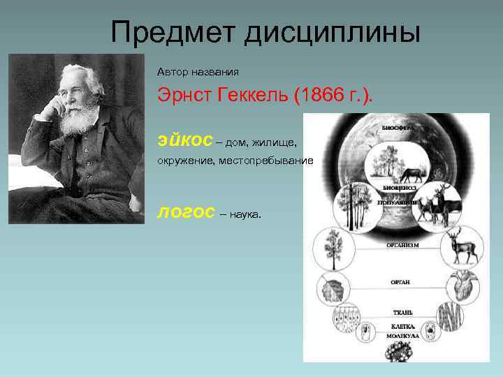 Предмет дисциплины Автор названия Эрнст Геккель (1866 г. ). эйкос – дом, жилище, окружение,