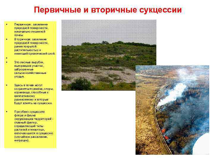 Первичные и вторичные сукцессии • • Первичная: заселение природной поверхности, изначально лишенной почвы Вторичная: