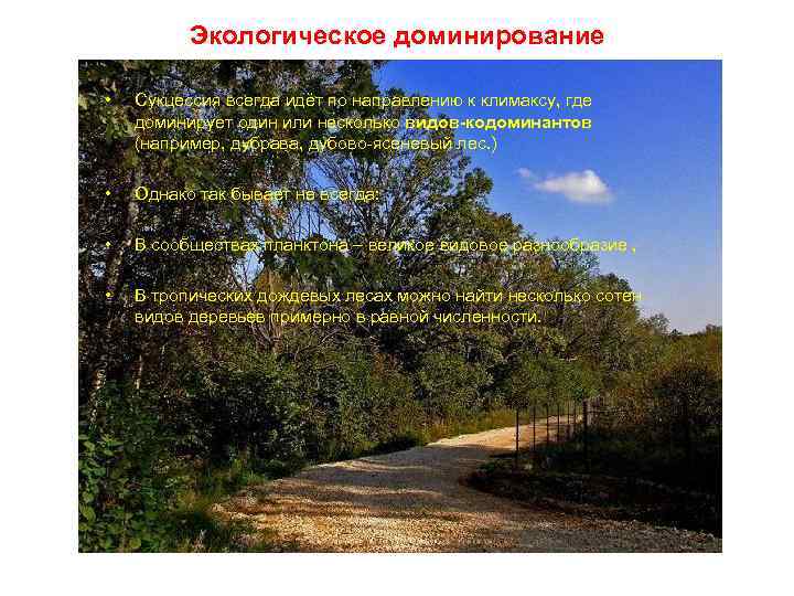 Экологическое доминирование • Сукцессия всегда идёт по направлению к климаксу, где доминирует один или