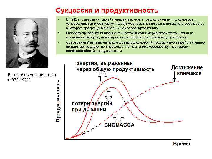 Схема линдемана физическая химия