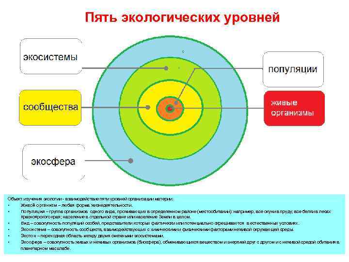 Уровни окс