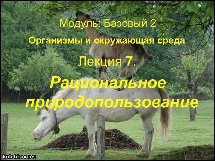 Модуль: Базовый 2 Организмы и окружающая среда Лекция 7. Рациональное природопользование 