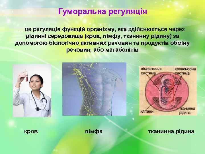 Гуморальна регуляція – це регуляція функцій організму, яка здійснюється через рідинні середовища (кров, лімфу,