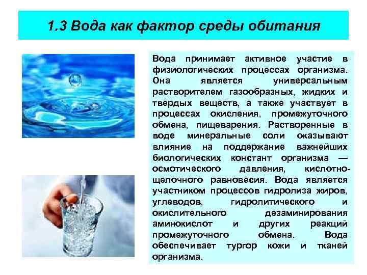 1. 3 Вода как фактор среды обитания Вода принимает активное участие в физиологических процессах