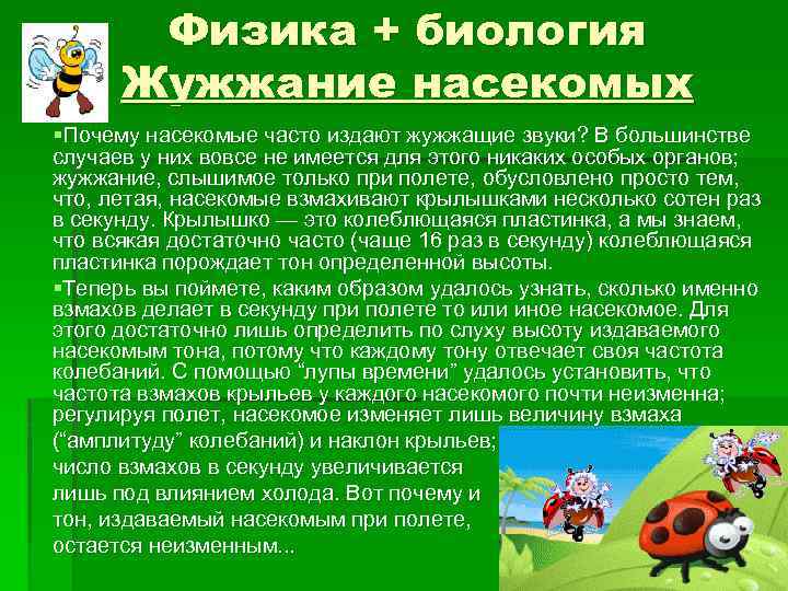 Физика + биология Жужжание насекомых §Почему насекомые часто издают жужжащие звуки? В большинстве случаев
