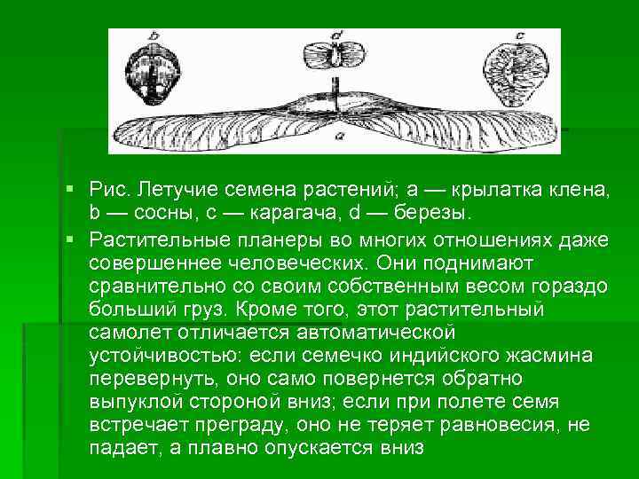 § Рис. Летучие семена растений; a — крылатка клена, b — сосны, c —