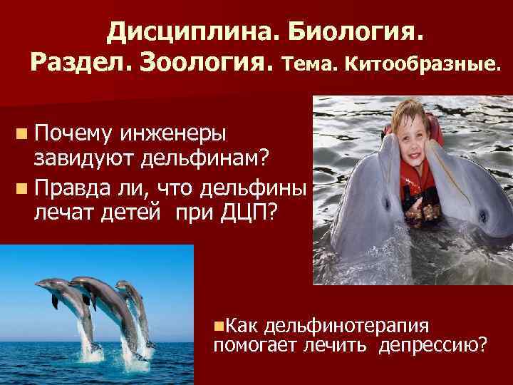 Дисциплина. Биология. Раздел. Зоология. Тема. Китообразные. n Почему инженеры завидуют дельфинам? n Правда ли,