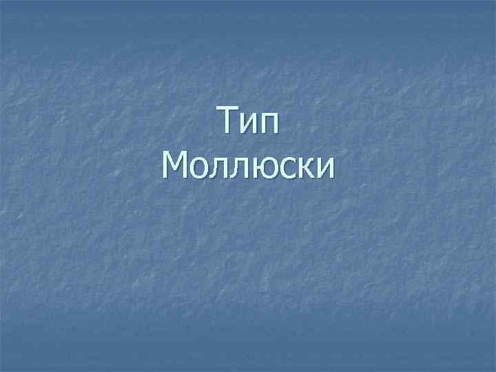 Тип Моллюски 