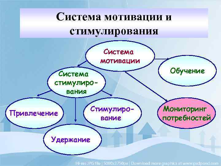 Система мотивации участников проекта