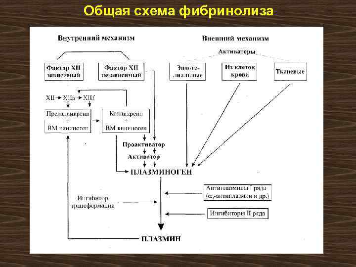 Схема фибринолиза физиология