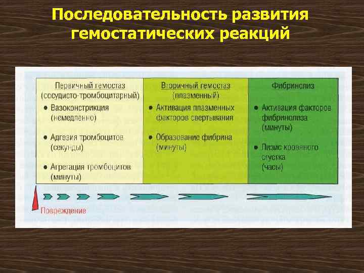Последовательность развития гемостатических реакций 