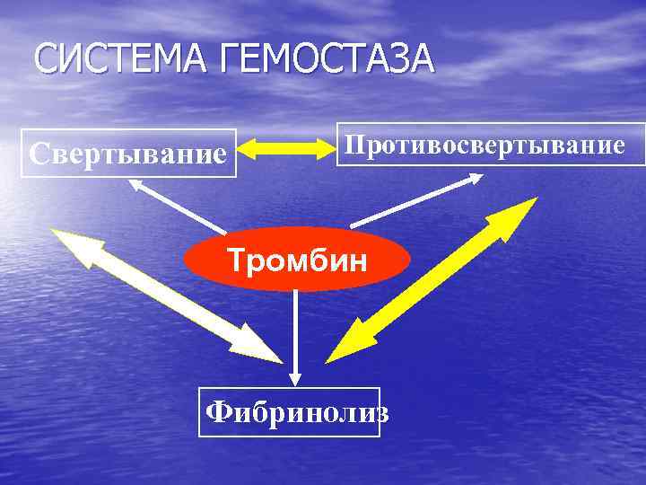 СИСТЕМА ГЕМОСТАЗА Свертывание Противосвертывание Тромбин Фибринолиз 