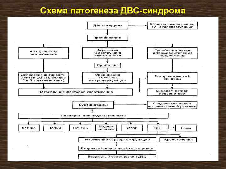 В схемах лечения двс синдрома присутствуют тест