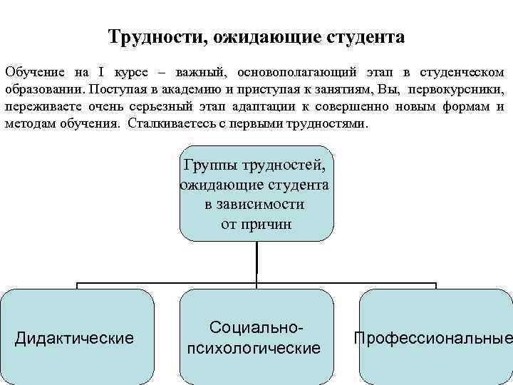 Трудности, ожидающие студента Обучение на I курсе – важный, основополагающий этап в студенческом образовании.