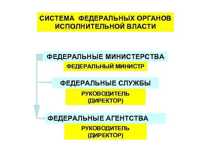 СИСТЕМА ФЕДЕРАЛЬНЫХ ОРГАНОВ ИСПОЛНИТЕЛЬНОЙ ВЛАСТИ ФЕДЕРАЛЬНЫЕ МИНИСТЕРСТВА ФЕДЕРАЛЬНЫЙ МИНИСТР ФЕДЕРАЛЬНЫЕ СЛУЖБЫ РУКОВОДИТЕЛЬ (ДИРЕКТОР) ФЕДЕРАЛЬНЫЕ
