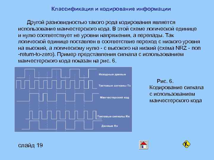 Классификация и кодирование информации Другой разновидностью такого рода кодирования является использование манчестерского кода. В