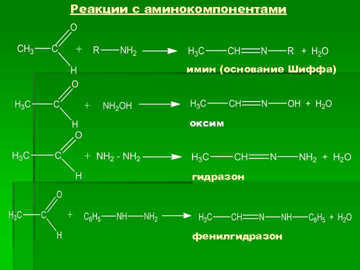 Реакции с аминокомпонентами имин (основание Шиффа) оксим гидразон фенилгидразон 