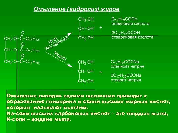 Омыление липидов едкими щелочами приводит к образованию глицерина и солей высших жирных кислот, которые