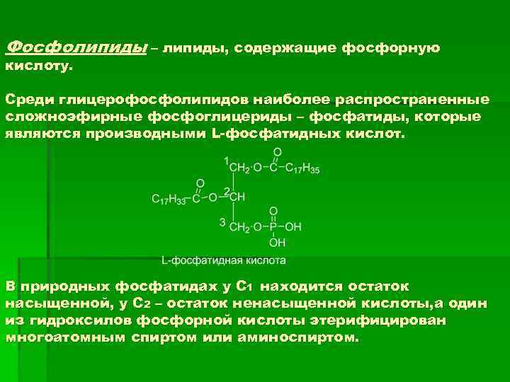 Фосфолипиды – липиды, содержащие фосфорную кислоту. Среди глицерофосфолипидов наиболее распространенные сложноэфирные фосфоглицериды – фосфатиды,