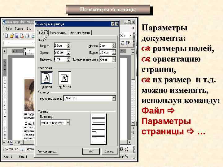Параметры страницы Параметры документа: d размеры полей, d ориентацию страниц, d их размер и