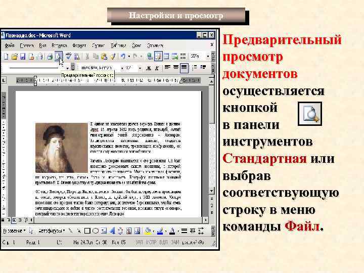 Настройки и просмотр Предварительный просмотр документов осуществляется кнопкой в панели инструментов Стандартная или выбрав