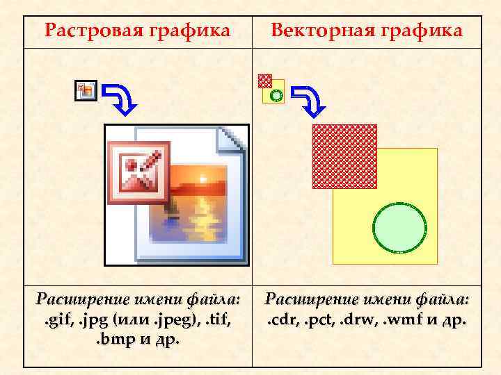 Растровая графика Векторная графика Расширение имени файла: . gif, . jpg (или. jpeg), .