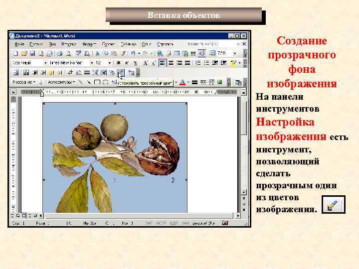Вставка объектов Создание прозрачного фона изображения На панели инструментов Настройка изображения есть инструмент, позволяющий