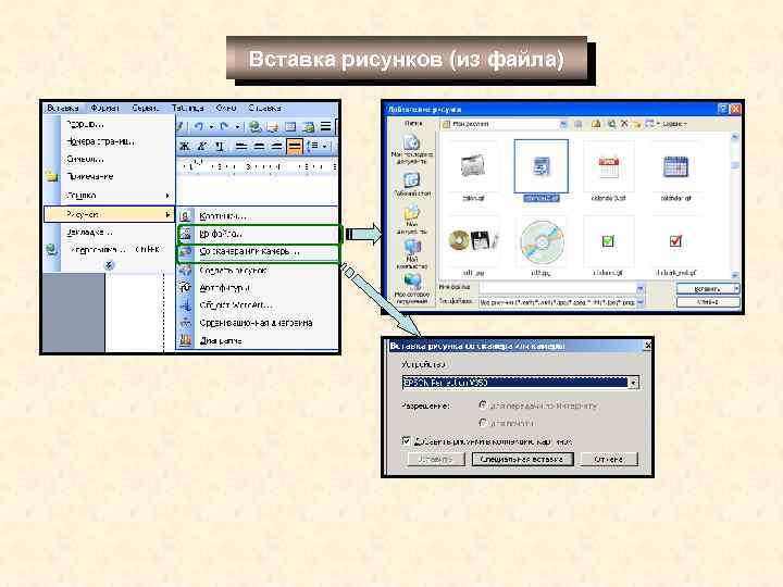 Вставка рисунков (из файла) 