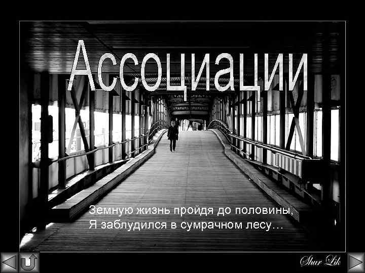 Земную жизнь пройдя до половины. Земную жизнь пройдя. Жизнь пройдена до середины. Я заблудился в сумрачном лесу. Свой путь пройдя до половины.