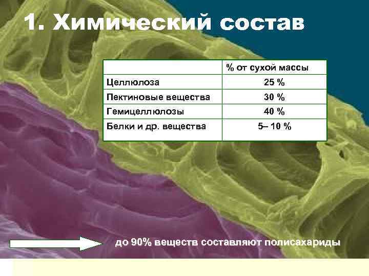 Основную массу клетки составляет