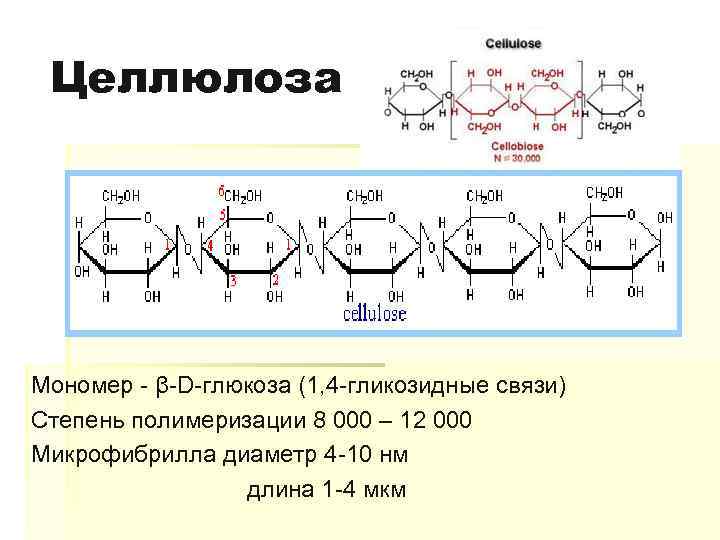 Крахмал тип связи. Целлюлоза формула полимера. Строение полимера целлюлозы. Целлюлоза Тип гликозидной связи. Строение целлюлозы формула.