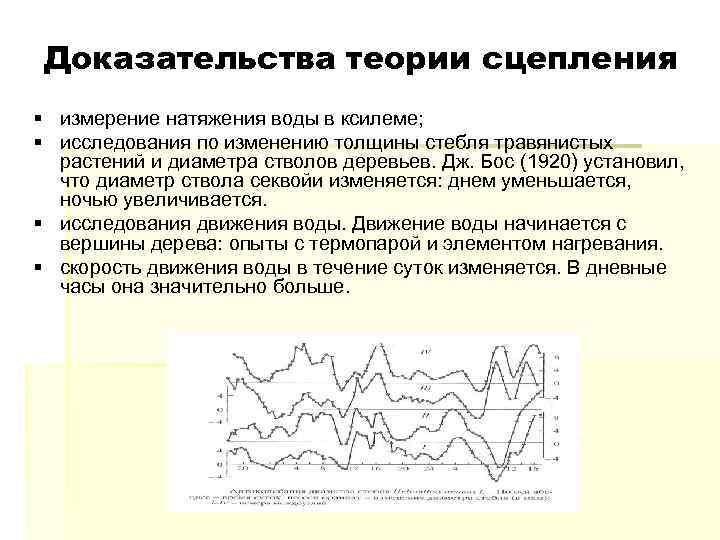 Доказательства теории сцепления § измерение натяжения воды в ксилеме; § исследования по изменению толщины