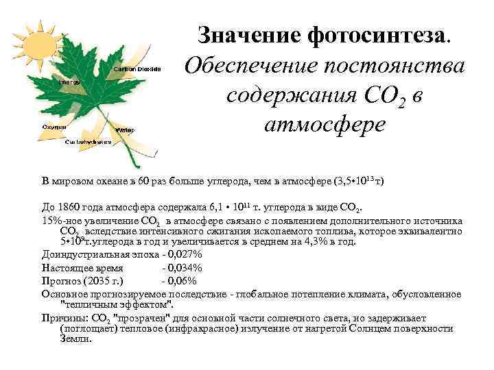 Презентация на тему фотосинтез 6 класс по биологии