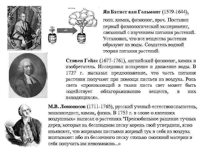 Ян Батист ван Гельмонт (1579 -1644), голл. химик, физиолог, врач. Поставил первый физиологический эксперимент,