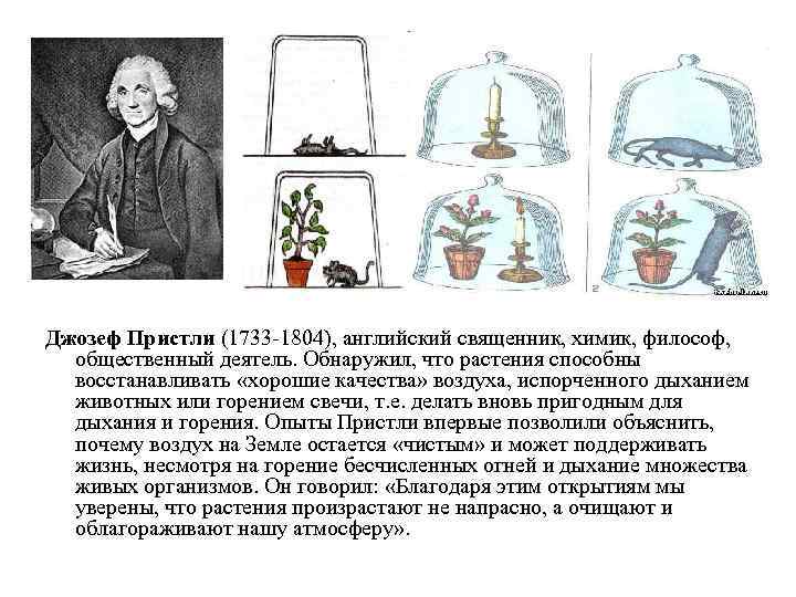 Рассмотрите явление изображенное на рисунке как ученые биологи называют это явление развитие