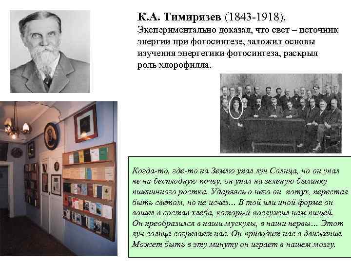 К. А. Тимирязев (1843 -1918). Экспериментально доказал, что свет – источник энергии при фотосинтезе,