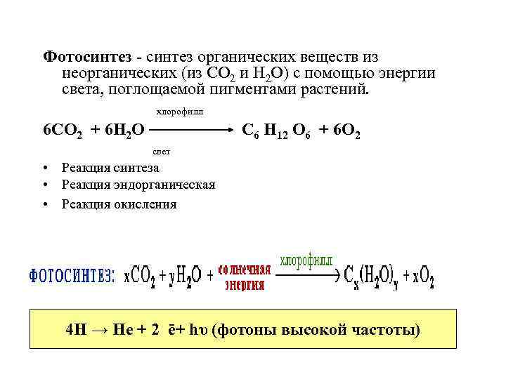 Фотосинтез - синтез органических веществ из неорганических (из СО 2 и Н 2 О)