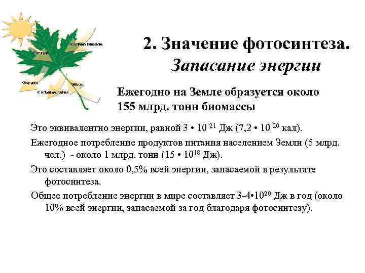 2. Значение фотосинтеза. Запасание энергии Ежегодно на Земле образуется около 155 млрд. тонн биомассы