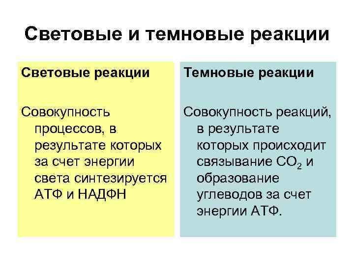Световые и темновые реакции Световые реакции Темновые реакции Совокупность процессов, в результате которых за