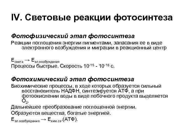 IV. Световые реакции фотосинтеза Фотофизический этап фотосинтеза Реакции поглощения энергии пигментами, запасания ее в